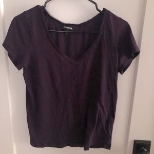 Express plum v-neck Size small t-shirt